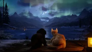 Cold Paws