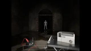 Tunnel Rot