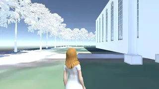 Trump Ballroom Blitz