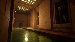 Anubria