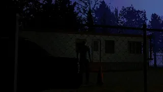 What The Dog Remembers