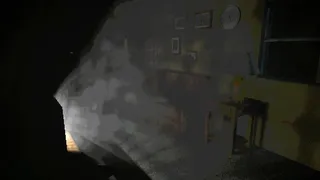 What The Dog Remembers