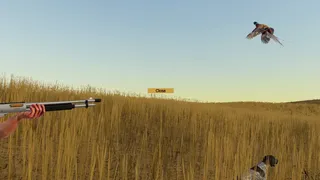 Birdshot