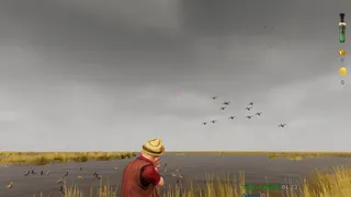 Birdshot
