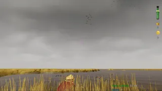Birdshot