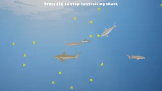 Sharkarama