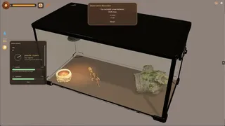 Desktop Reptiles