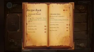Скриншот 6 к игре Alchemist Chronicles