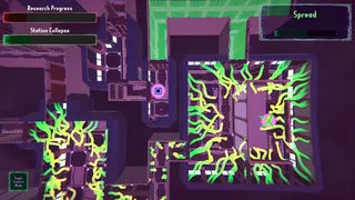 Organism Detected