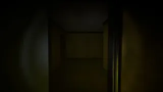 Backrooms: The Wrong Reality