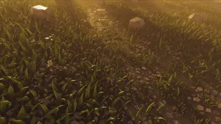 Walking With The Wild