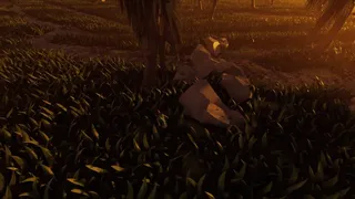 Walking With The Wild