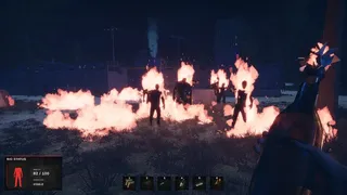 Road of a Survivor