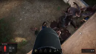 Road of a Survivor