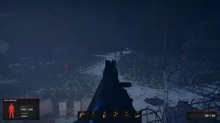 Road of a Survivor