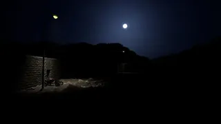 The Magician's son ولد الساحر