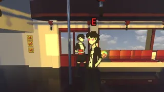 Shadow Saw Us