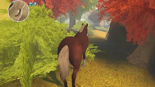 Horse Spirit Valley