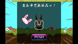 Depraved!! Bunny Sex Life