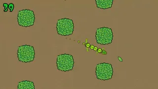 Run Run Iguana!