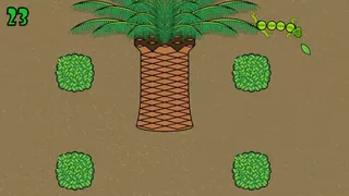 Run Run Iguana!