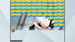 The Hidden Room