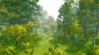Cozy Country