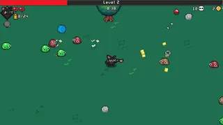 Pets Survivors