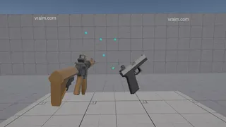 VR AIM