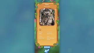 Скриншот 5 к игре Borbs