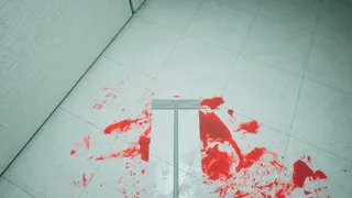 The Night Janitor