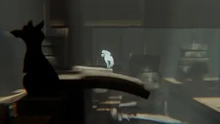 The Magician's Hand