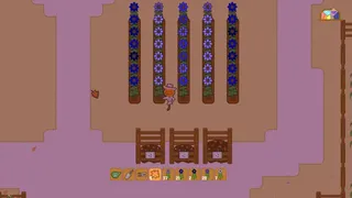 Scraw's Blooms