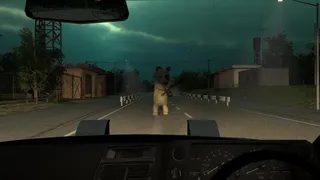 Anomaly Road | 異変車道