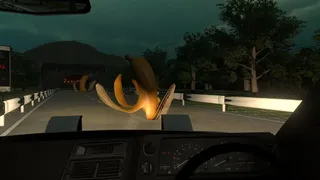 Anomaly Road | 異変車道