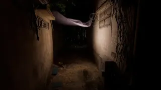 The Real Guest