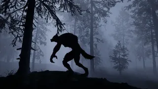 Скриншот 5 к игре Wolfbane