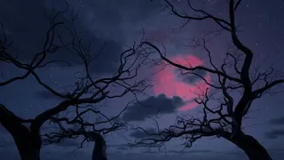 Скриншот 6 к игре Wolfbane