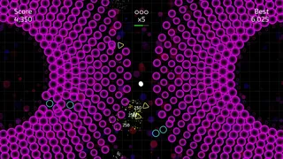 Cell #31