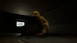 Cockroach Simulation