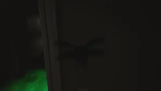 Скриншот 6 к игре Cockroach Simulation
