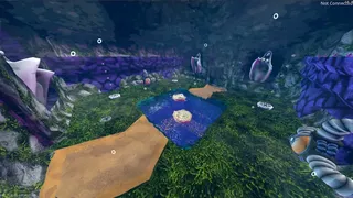 Rock Hard Reef