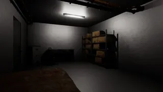 The Confined: Basement