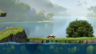 Turtle Up