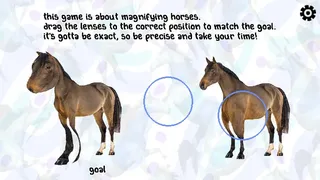 Horse Magnifier: The Full Horse