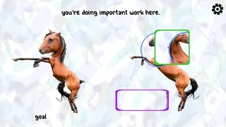Horse Magnifier: The Full Horse