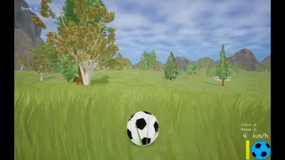 Soccer Ball Simulator