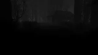 The Fading Memory