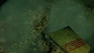 The Twisted Zone