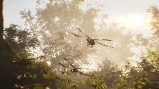 The Undergrowth
